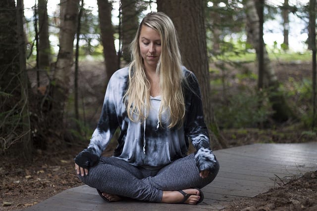 The Gifts of Nature: Japanese Forest Bathing | Northern Edge Algonquin