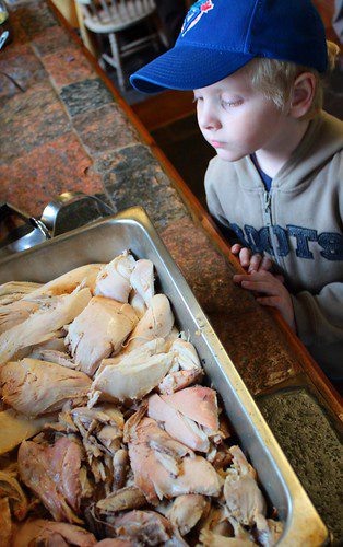 Child staring a chicken