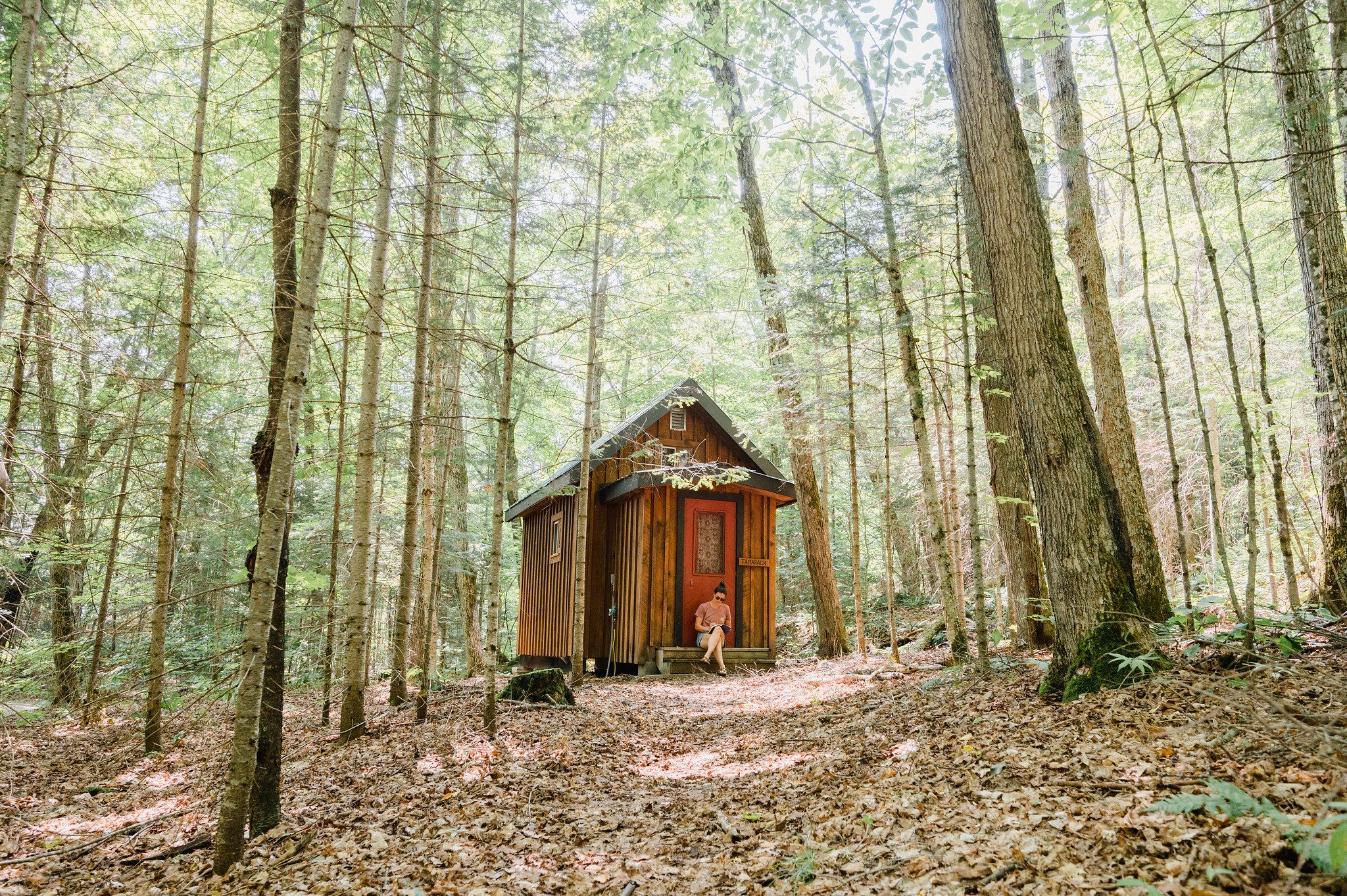 cabin in algonquin park