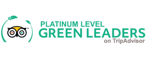 Platinum Level Green Leader Logo
