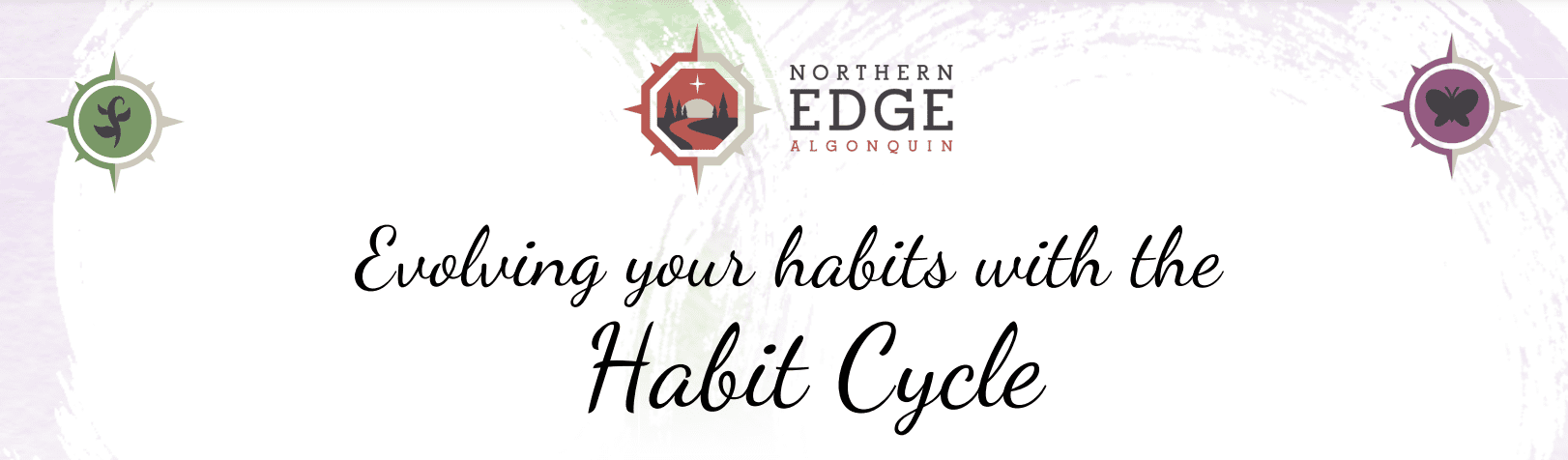 Creating Habits for Health and Wellness