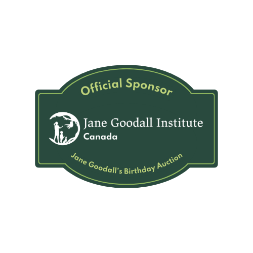 Honouring a legacy: Supporting the jane goodall birthday auction
