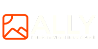 Ally Transformational Travel Council