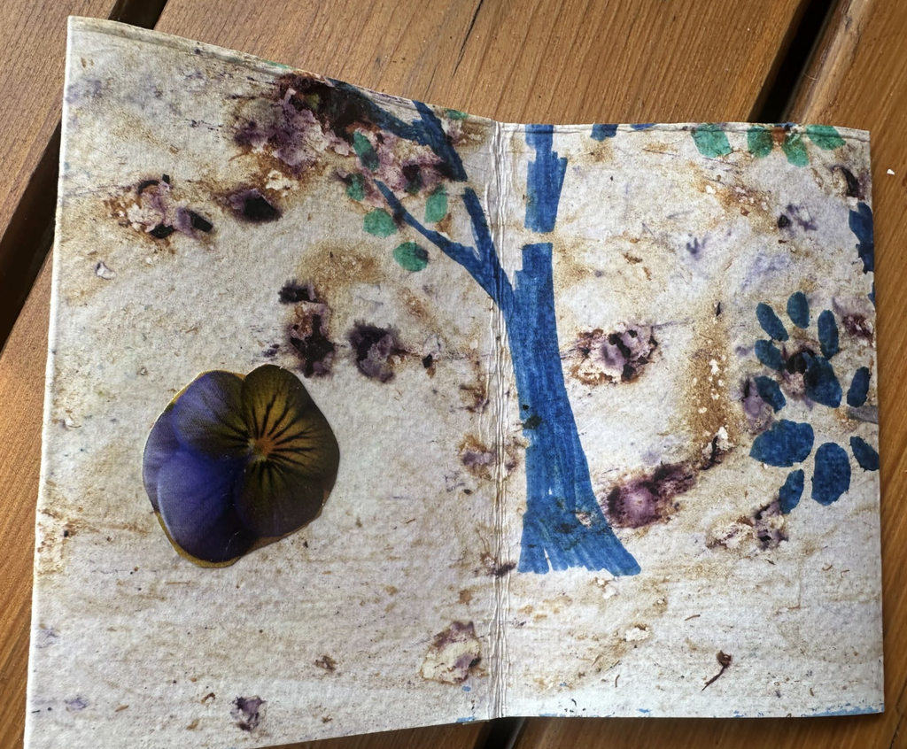 The Blueberry Tree