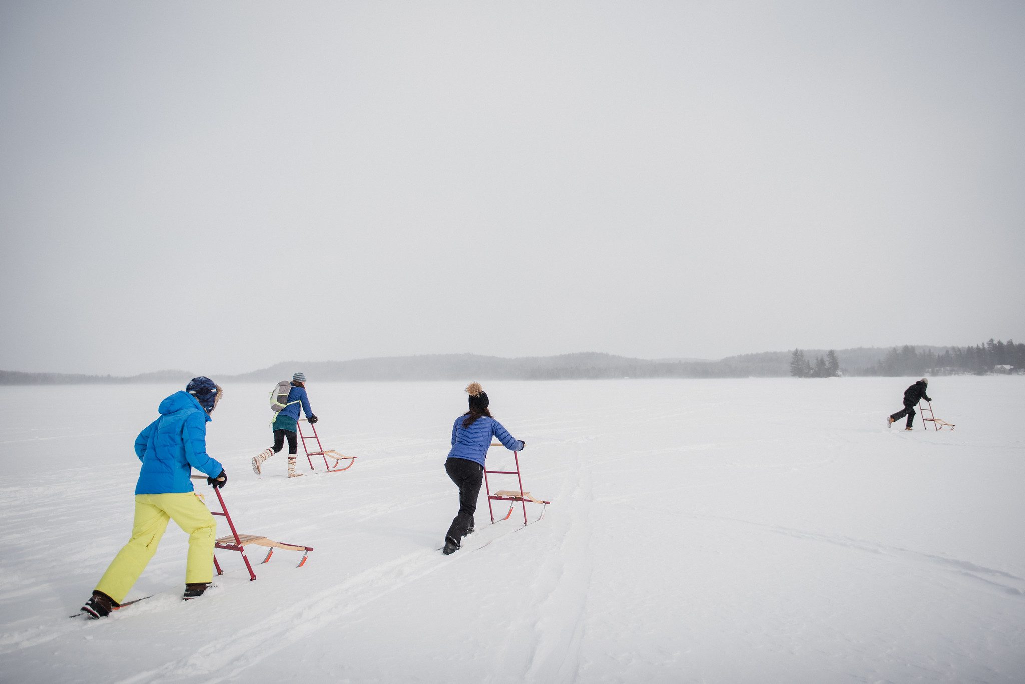 kicksledding in algonquin park